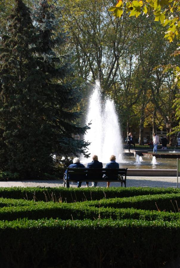 Swing Daire Szczecin Dış mekan fotoğraf
